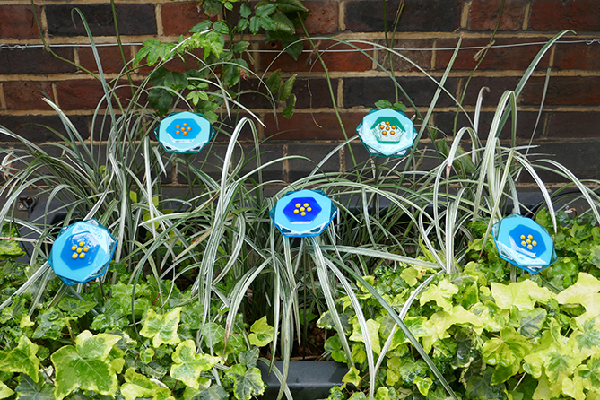 Flowering Hexagon Flowering Hexagon